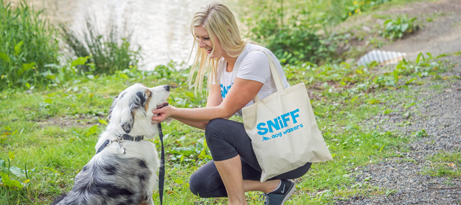 Jobs With SNIFF Dog Walkers